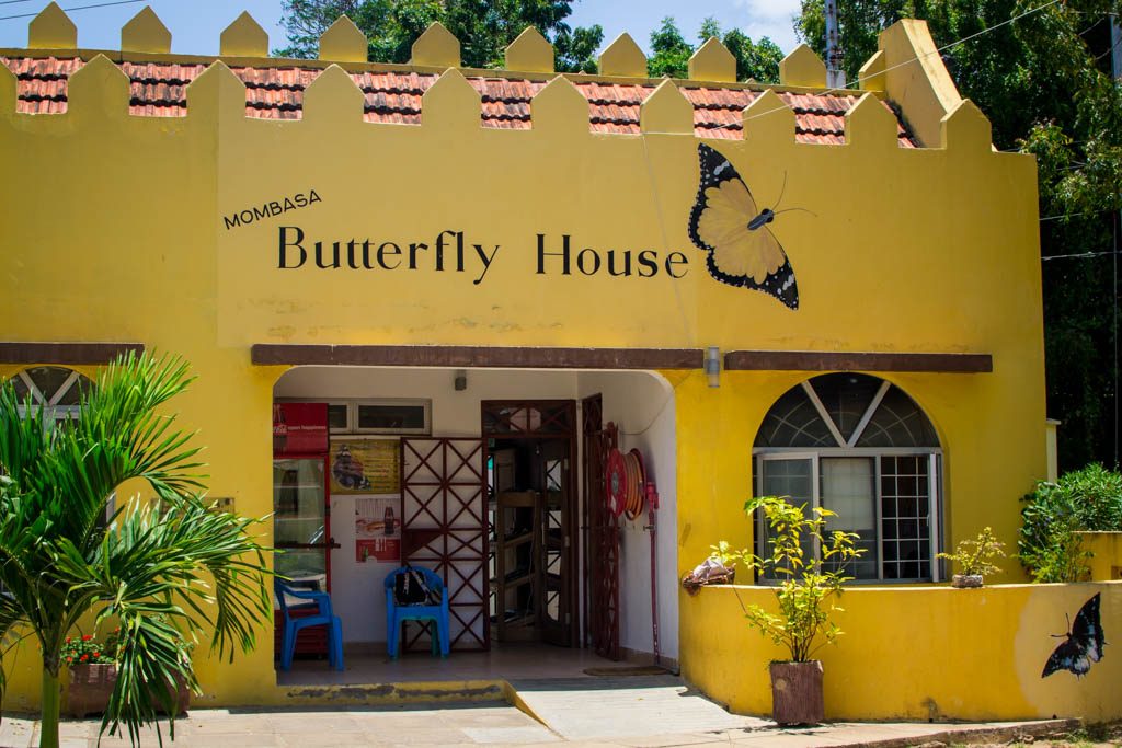 Mombasa Butterfly House Life in Mombasa